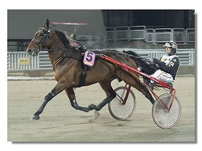 Enbildstavla med text